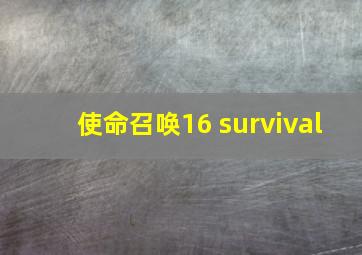 使命召唤16 survival